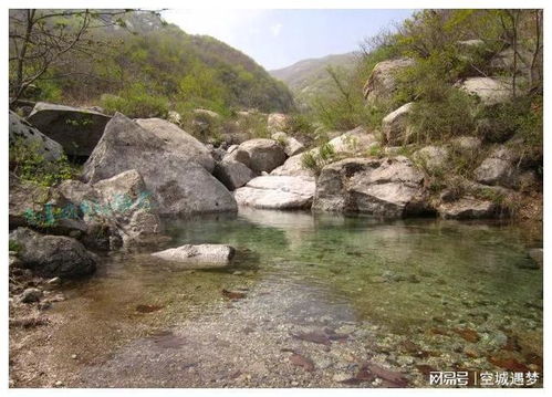 一个小杏子能受到大家的欢迎,见证了庄河市歇马村人的奋斗精神