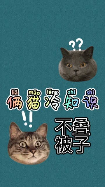 猫的冷知识(猫的冷知识是什么)