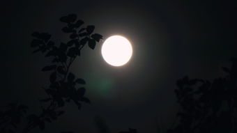 马盘月亮合中天,马克思盘的金星和月亮无相位代表？