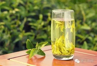 夏天适合喝什么茶,喝绿茶喝冷的好还是热的好