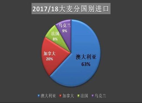 澳门有彩票游戏没？-探索其背后的历史与文化发展透视”