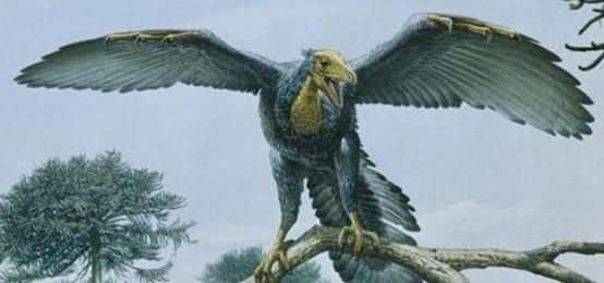 远古生物都是有脚的兽类,为何会进化出翅膀