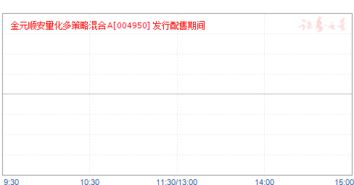 帮忙介绍金元策略是什么意思?