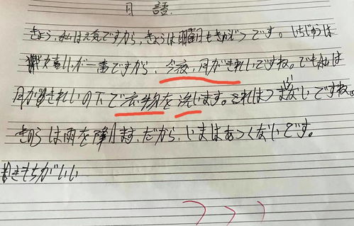高中生期末写 日语作文 ,零基础也能读懂,日本学生 这是啥