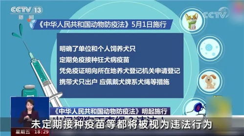 养狗不办证违法 宠物AI识别助力狗子 刷脸 办证