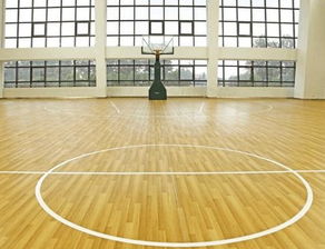 如何选择舒适的篮球运动场地