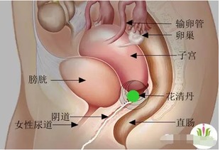 导致女人阴道出血的性交