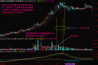 富豪的发家为什么都离不开股票