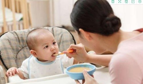 宝宝怎样辅食 四种方法让你真正打开宝宝的辅食,让孩子开心吃营养辅食