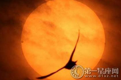 星盘合盘 太阳和金星相位分析