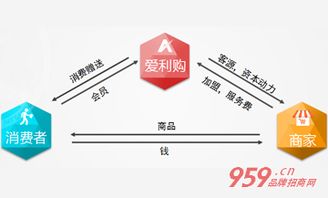 理想电子商城属于一种什么经营模式