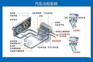 汽车冷却系统故障诊断毕业论文,汽车冷却系统维修的毕业论文,汽车发动机冷却系统毕业论文