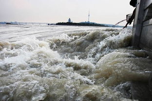 武汉汉江20年一遇洪水 市民观两江洪水汇合 