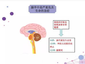 大面积脑梗介入手术围术期的护理 