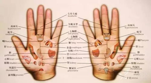 手是健康的镜子,10种常见病,从手上就能看出来