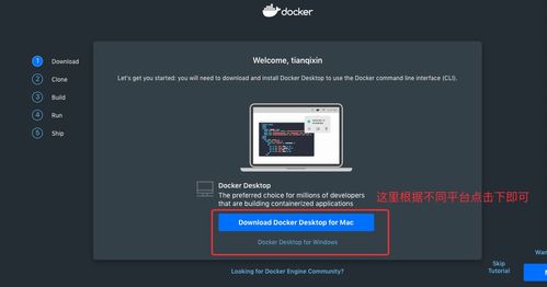 win10系统docker安装mysql