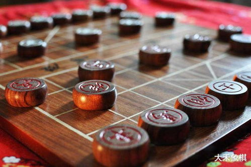 世界围棋*广东揭阳是谁,中国象棋十大高手排名