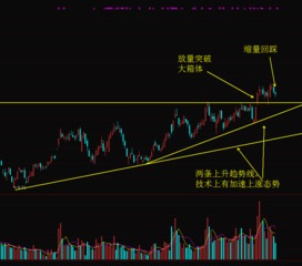 300647这支股票怎样