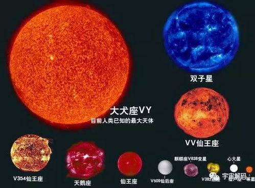 宇宙中最大的星球和太阳对比