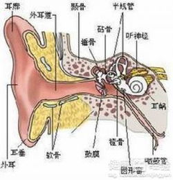 咽鼓管阻塞如何诊断鉴别