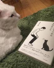 今天看到了一本和猫有关的书 超想看但是书名是日文,百度搜不到,有人见过吗 麻烦翻译成中文,谢了 
