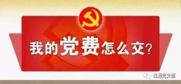 年终一次性奖金,党费 