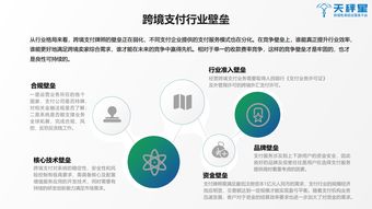 天秤星 2019跨境支付行业白皮书 全球首发