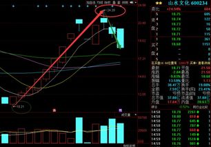 山水文化600234这只股，下周要被ST了？？？是真的吗？被ST意味着大跌吗？