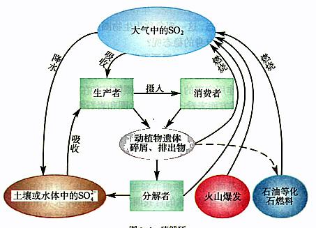 哲学中什么是螺旋上升？和循环往复是一个意思吗？