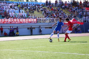 湖南大学生足球联赛高职组排名