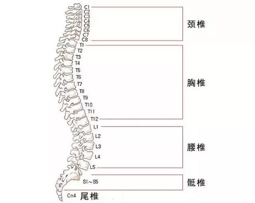 中风竟是脊椎惹的祸 这几十种病可能都与你颈腰疼痛有关