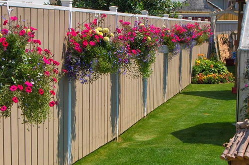 围栏上不种植物就太浪费了,看花友在墙上种满各种花卉