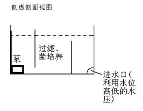 自制的1米鱼缸,如何设计鱼缸内的过滤系统 最好是要有图片参考,非常感谢 