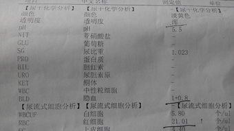 尿干化学分析及尿流式细胞分析检测结果分析 