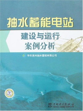 抽水蓄能电站建设与运行案例分析 