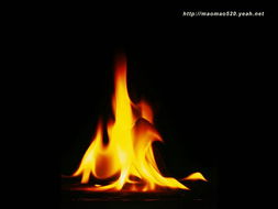 火的图片素材 Stock Photographs Fire Photos35 