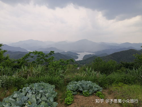 现在适合去哪里旅游三日 (三天时间去哪旅游)