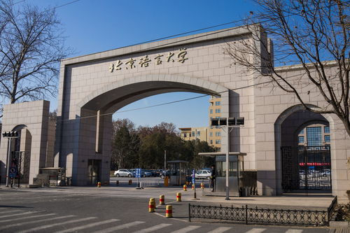 大学生的职业是什么