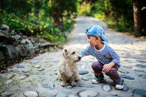 小孩与狗 家里养狗的孩子,长大后都有哪些特质 