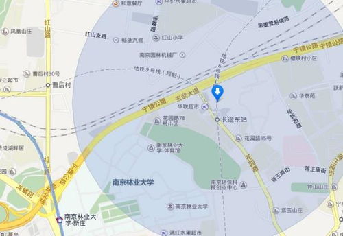 南京汽车东站在地铁3号线那一站下车近 