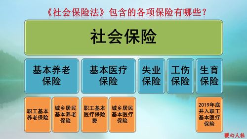 深圳灵活就业养老保险值不值得交买深圳社保好,还是买当地灵活就业好