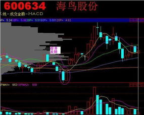 炒股技巧有哪些 老股民的几个炒股小技巧