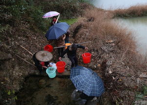 义乌露天垃圾场建在水库旁 村民村外取水 