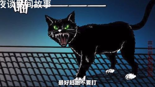 民间故事 黑猫 