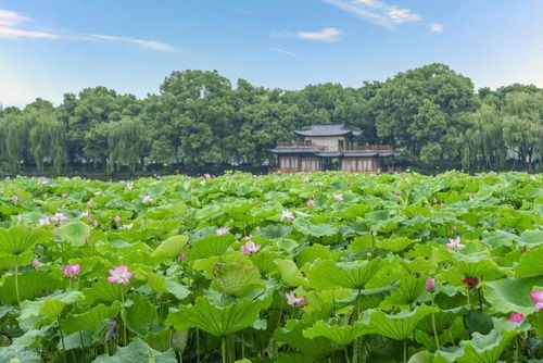 西湖十美游玩攻略全在这 杭州旅游不来西湖怎么行