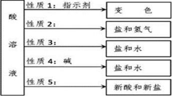 关于酸和碱的性质说法正确的是 