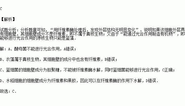 某生物细胞用纤维素酶处理.发现外层结构无明显变化.但能通过光合作用制造有机物.该生物最可能是 A.酵母菌 B.衣藻 C.蓝细菌 D.水稻 题目和参考答案 青夏教育精英家教网 