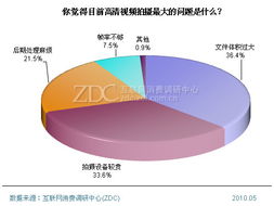 2010年度高清视频拍摄用户调查报告 