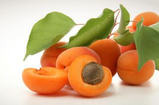 杏成熟季节是几月 杏一般什么时候成熟
