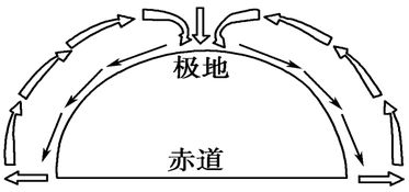 两极是什么意思